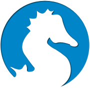 cc攻击免费网页版
